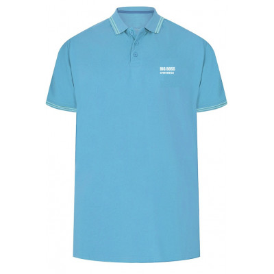 Plain polo shirt logo