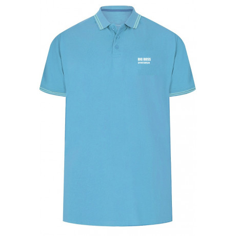 Plain polo shirt logo